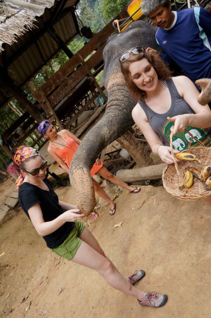 Feeding elephants in Thailand.
